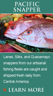 Lanes, Silks, and Guacamayo snappers from our artisanal fishing fleets are caught and shipped fresh daily from Central America.