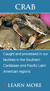 Caught and processed in our facilities in the Southern Caribbean and Pacific Latin American regions. 